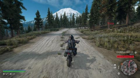 Days Gone