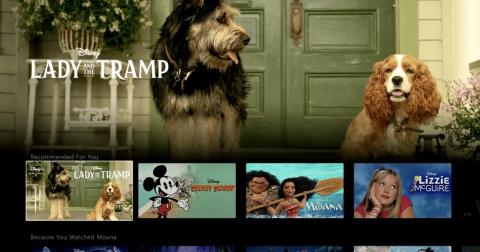 Demo of the Disney Plus app shows a look at the "Lady and the Tramp" remake. Demo of the Disney Plus app shows a look at the "Lady and the Tramp" remake.