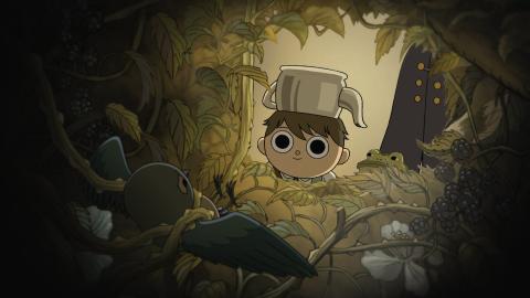 Over the garden wall