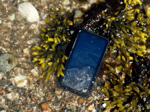The author's iPhone XR, safe and sound, if awash, along the shores of Long Island Sound. The author's iPhone XR, safe and sound, if awash, along the shores of Long Island Sound.