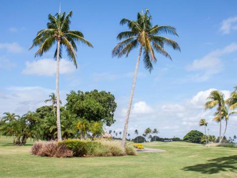 La isla está repleta de enormes mansiones de gran lujo y tiene un campo de golf privado para los millonarios que viven allí.