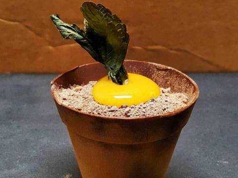 Esta maceta no necesita la luz del sol.