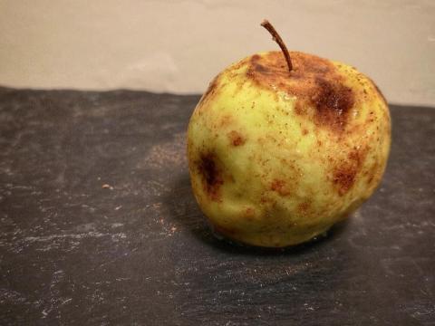 El postre de manzana podrida.