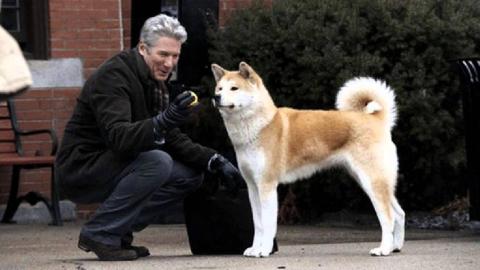 Siempre a tu lado, Hachiko