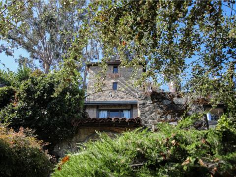 She also said he's gotten offers for the place in the last couple of years for far more than the $900,000 he paid for it. But he's wanted the castle for decades, so, for now, it'll stay where it is: in the family.