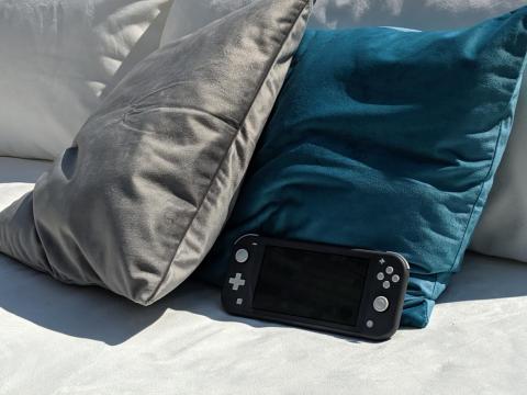 The Switch Lite has fewer moving parts than the original Switch, which will make it easier to travel with or leave hanging around the couch.