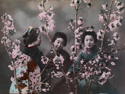 Cherry blossoms are very symbolic and often a metaphor for human existence.