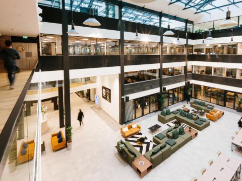 WeWork shelves IPO for now under new leadership WeWork shelves IPO for now under new leadership