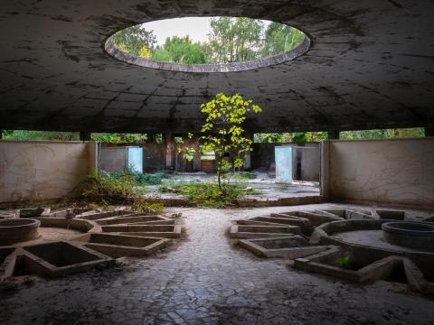 El balneario más grande del complejo, el No. 6, fue construido exclusivamente para Joseph Stalin. Es el único que todavía se utiliza hoy en día. El balneario más grande del complejo, el No. 6, fue construido exclusivamente para Joseph Stalin. Es el único que todavía se utiliza hoy en día.