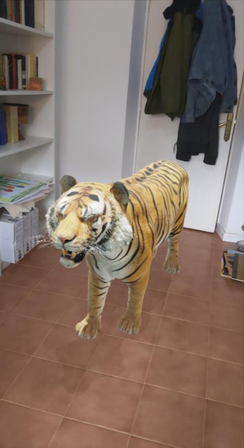 Animal 3D Google