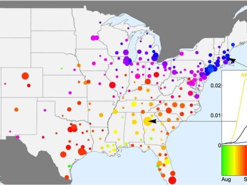 A new map shows the path of H1N1 "swine flu" as it spread across the United States in the fall of 2009.