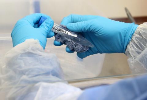 test coronavirus un estudio encuentra que 3 de 4 test chinos para detectar coronavirus tienen una sensibilidad del 90%