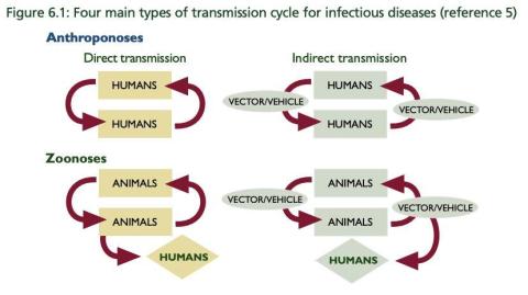 An illustration showing an example of human-to-human disease transmission.