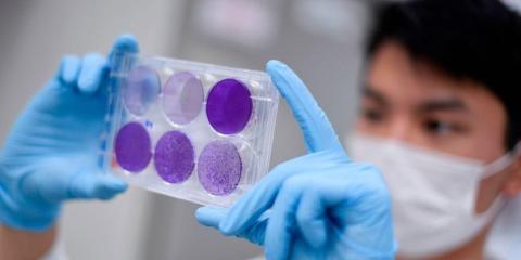 A researcher works on virus replication to develop a vaccine against the coronavirus COVID-19, in Belo Horizonte, Brazil, on March 26, 2020.