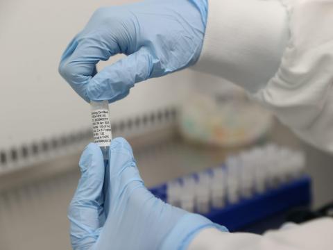 Scientists are seen working on a potential vaccine for COVID-19 in Keele, Britain.