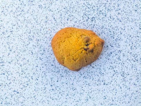 A cookie with too little sugar.