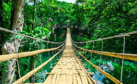 Bohol (Filipinas)