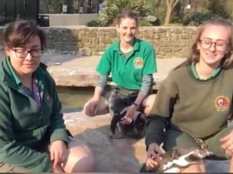 Some of the zookeepers that moved in.