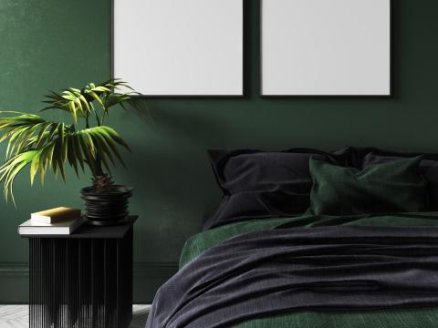 4. A move toward nature-inspired paint colors