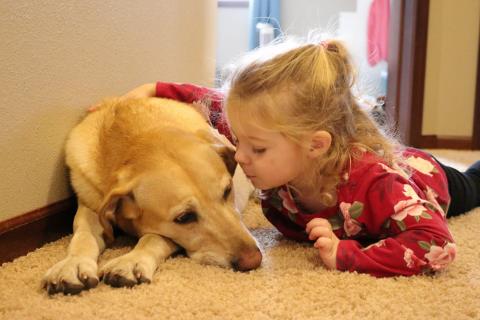 A child and her labrador.
Brittany Schauer Photography/Getty