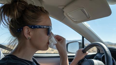 Conductores alérgicos: por qué tienen más riesgo de accidente en coche