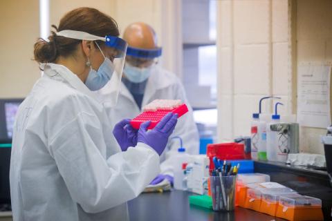 Scientists test COVID-19 samples at the New York City Department of Health and Mental Hygiene on April 23, 2020.
Brendan McDermid/Reuters