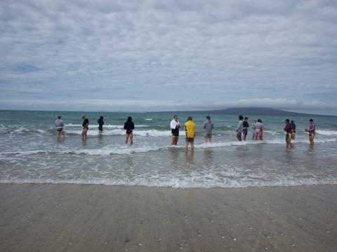 Takapuna Beach, Nueva Zelanda.