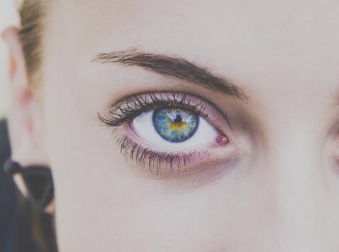 Párpado en el ojo Párpado en el ojo