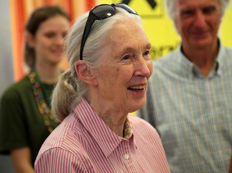 Jane Goodall Jane Goodall
