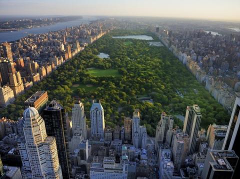 Nueva York Nueva York