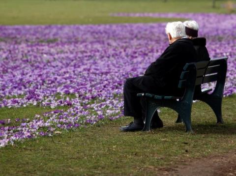 An elderly couple sit on a bench next crocus flowers in a park in Duesseldorf An elderly couple sit on a bench next crocus flowers in a park in Duesseldorf