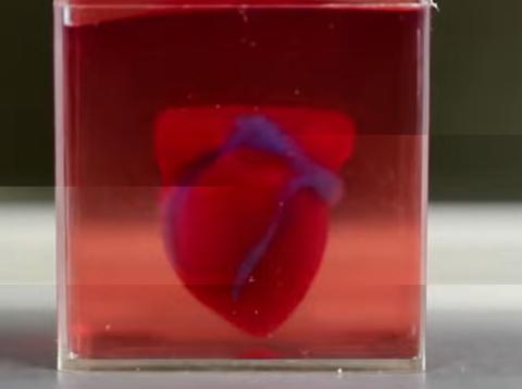 corazon 3D logran imprimir un corazón completo en 3d