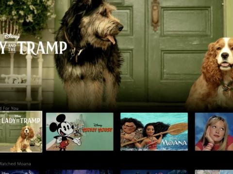 Demo of the Disney Plus app shows a look at the "Lady and the Tramp" remake. Demo of the Disney Plus app shows a look at the "Lady and the Tramp" remake.