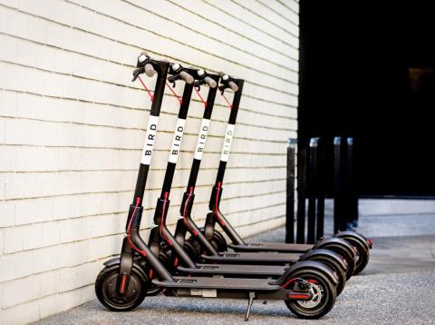 Scooter startup Bird just acquired rival Scoot, one of the two companies that beat out Uber and Lyft to operate in San Francisco Scooter startup Bird just acquired rival Scoot, one of the two companies that beat out Uber and Lyft to operate in San Francisco