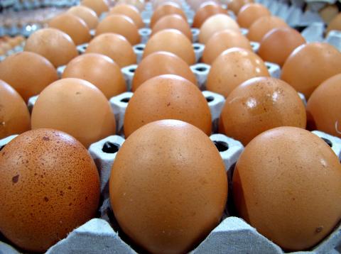 Sin embargo, prefiere los huevos de cáscara marrón. Sin embargo, prefiere los huevos de cáscara marrón.