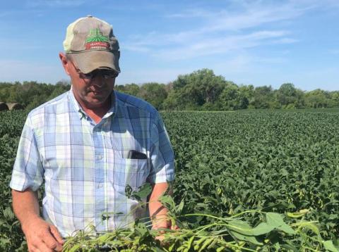 Farmer Randy Miller is shown with his soybeans. Farmer Randy Miller is shown with his soybeans.