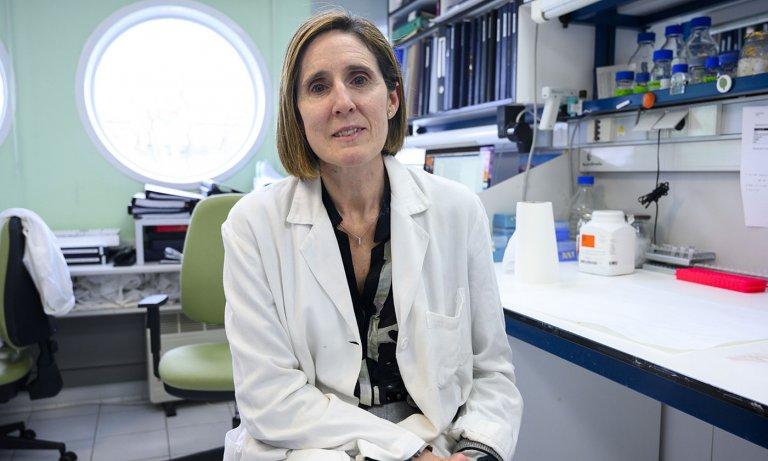 Isabel Sola, investigadora del CSIC.