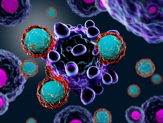Células T atacan las células cancerosas