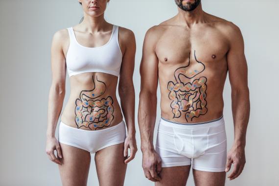 Concepto de salud intestinal masculina y femenina.